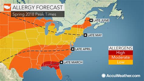 pollen count conroe|pollen allergy conroe tx.